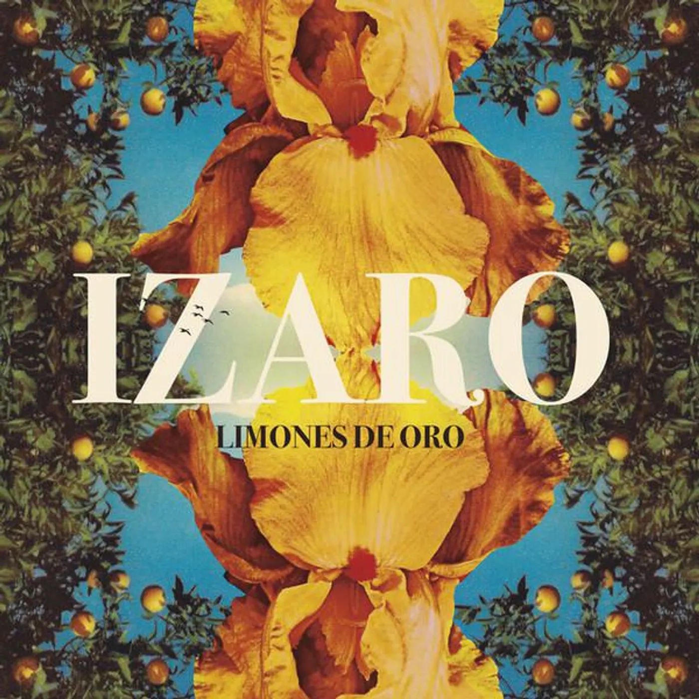 IZARO Limones de Oro Vinyl Record