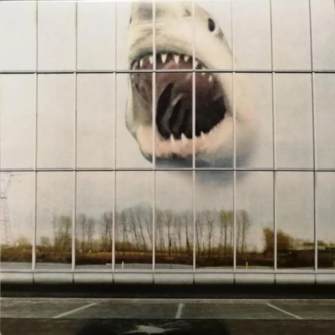 Black Mountain Wilderness Heart Vinyl Record