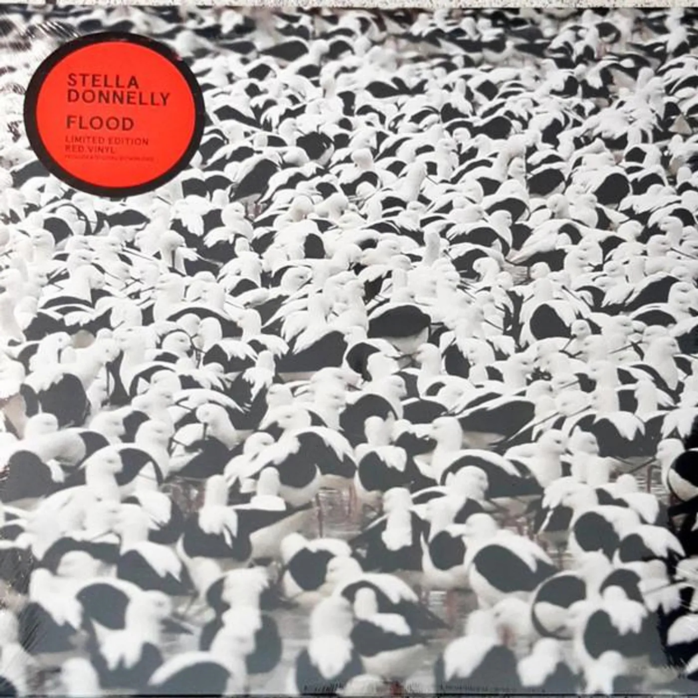 Stella Donnelly FLOOD (OPAQUE RED VINYL) Vinyl Record