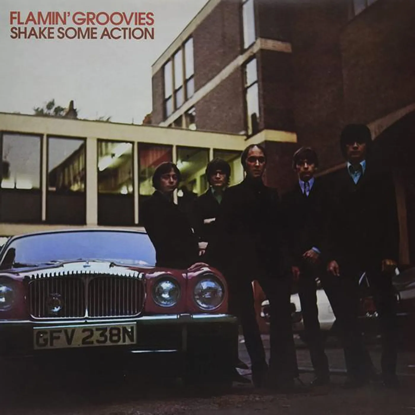 Flamin' Groovies SHAKE SOME ACTION Vinyl Record
