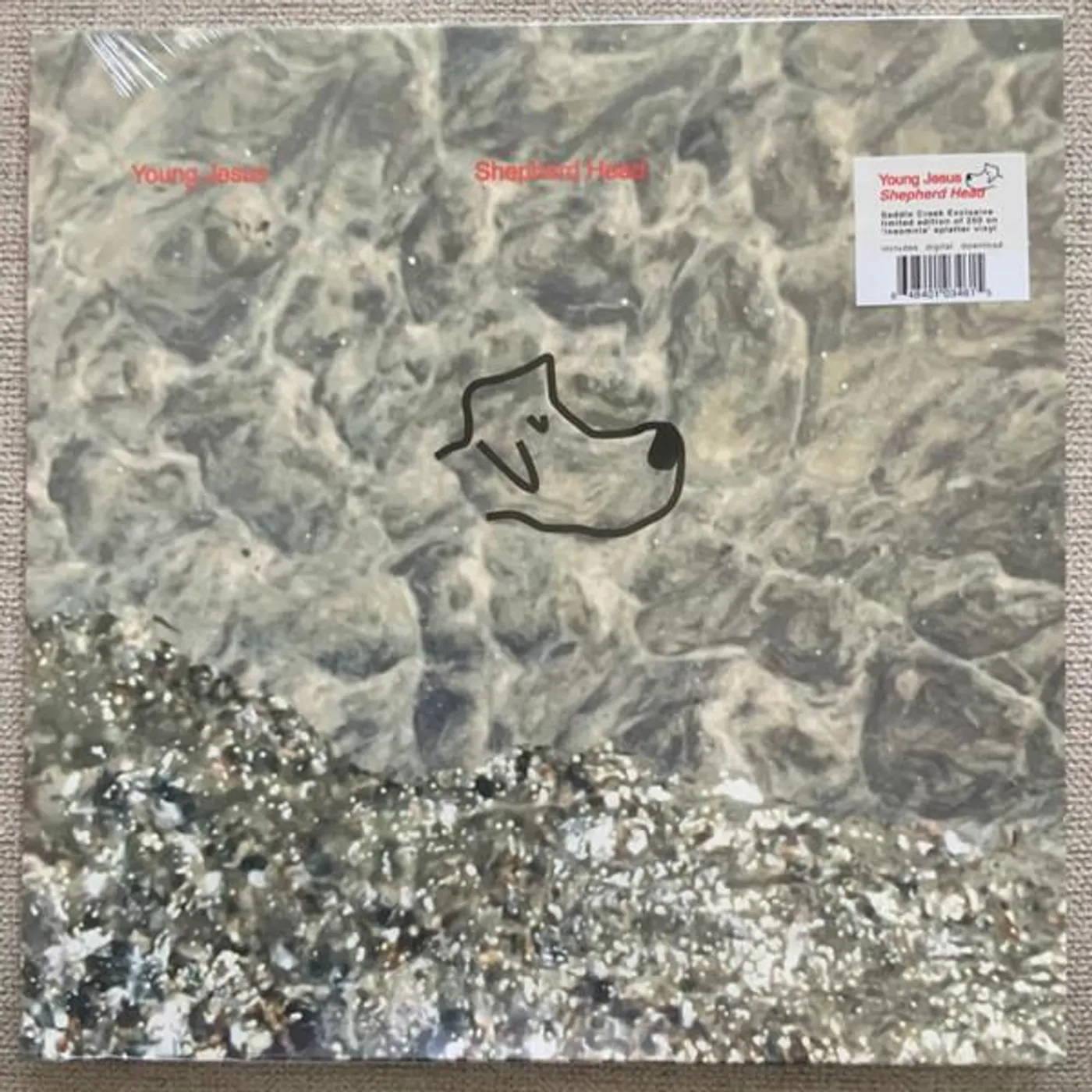 Young Jesus Shepherd Head Vinyl Record