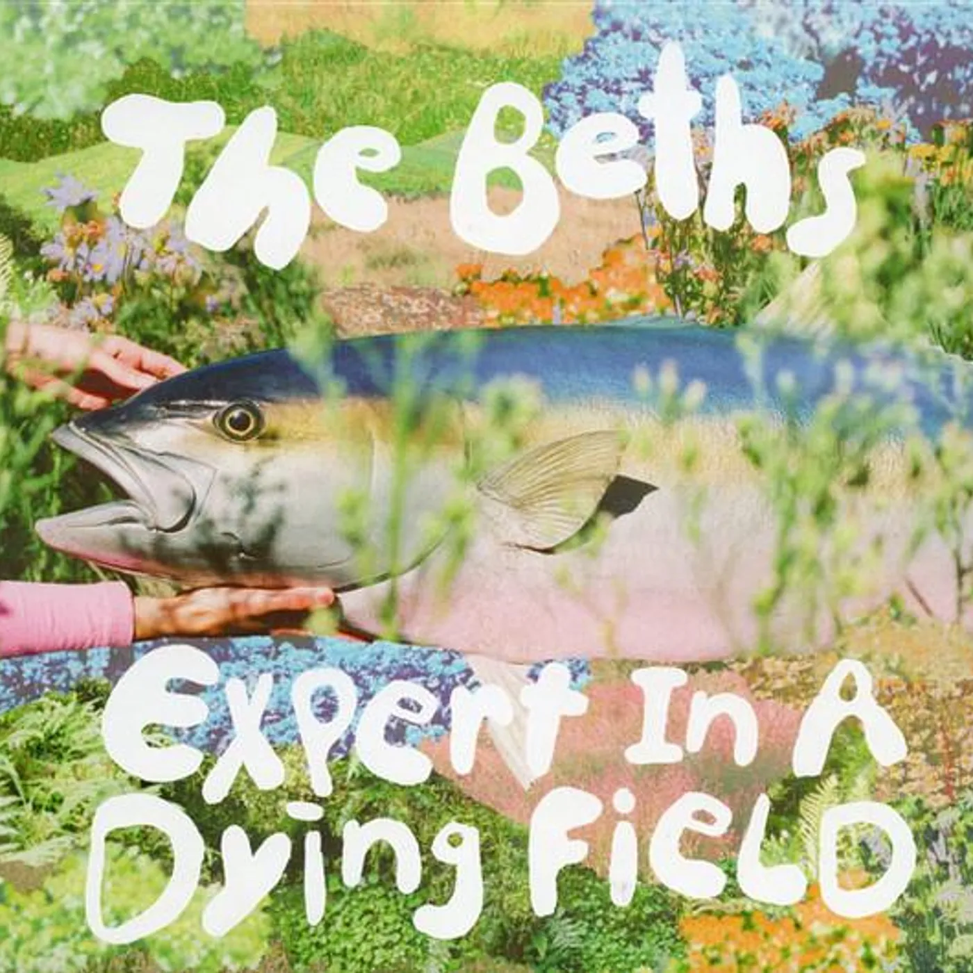 The Beths EXPERT IN A DYING FIELD CD