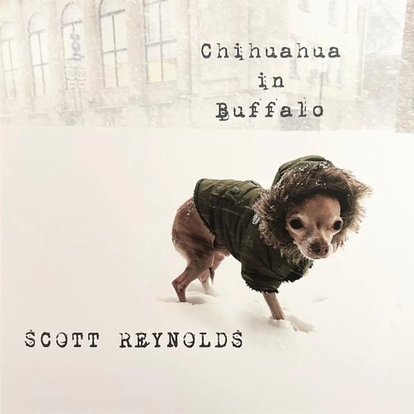 Scott Reynolds Chihuahua in Buffalo Vinyl Record