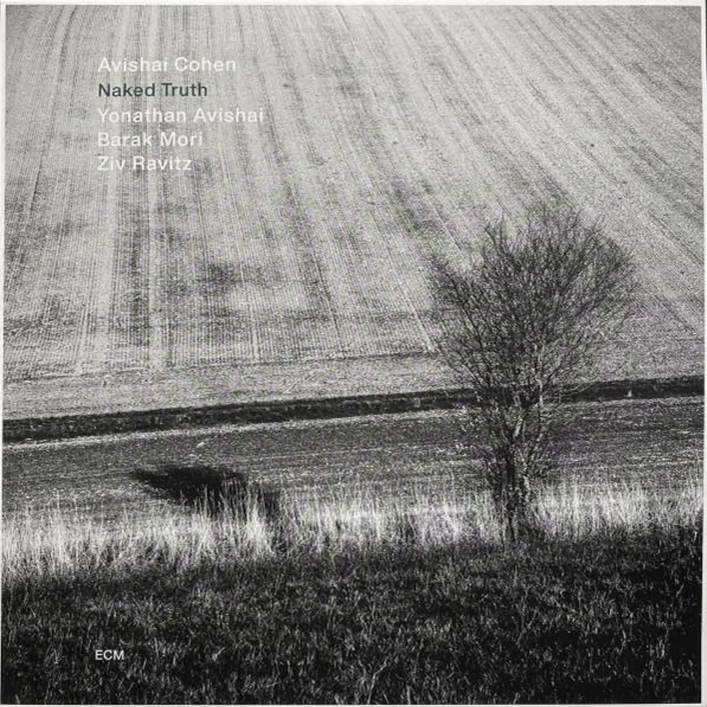 Avishai Cohen NAKED TRUTH Vinyl Record