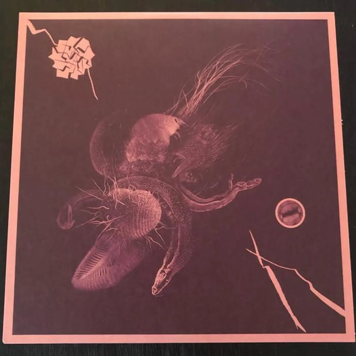 Aaron Turner & Jon Mueller NOW THAT YOU'VE FOUND IT Vinyl Record