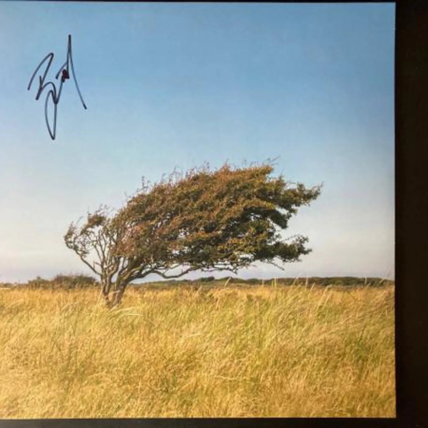 Bjørn Riis FLEETING GLIMPSE Vinyl Record