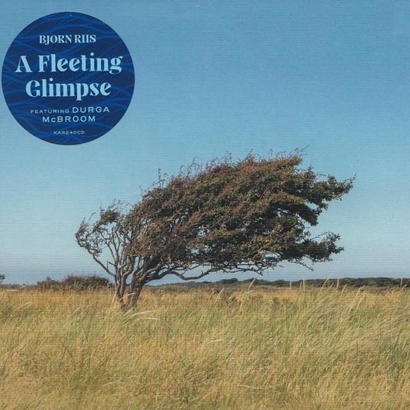 Bjørn Riis FLEETING GLIMPSE CD