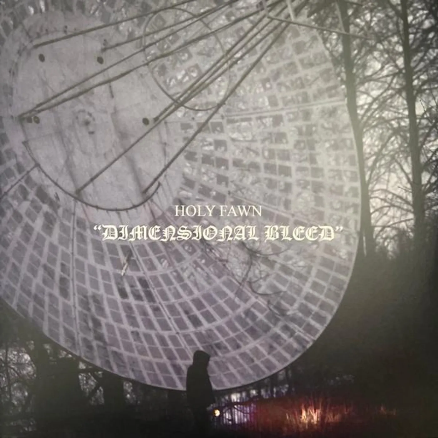 Holy Fawn DIMENSIONAL BLEED (COKE BOTTLE VINYL/2LP) Vinyl Record