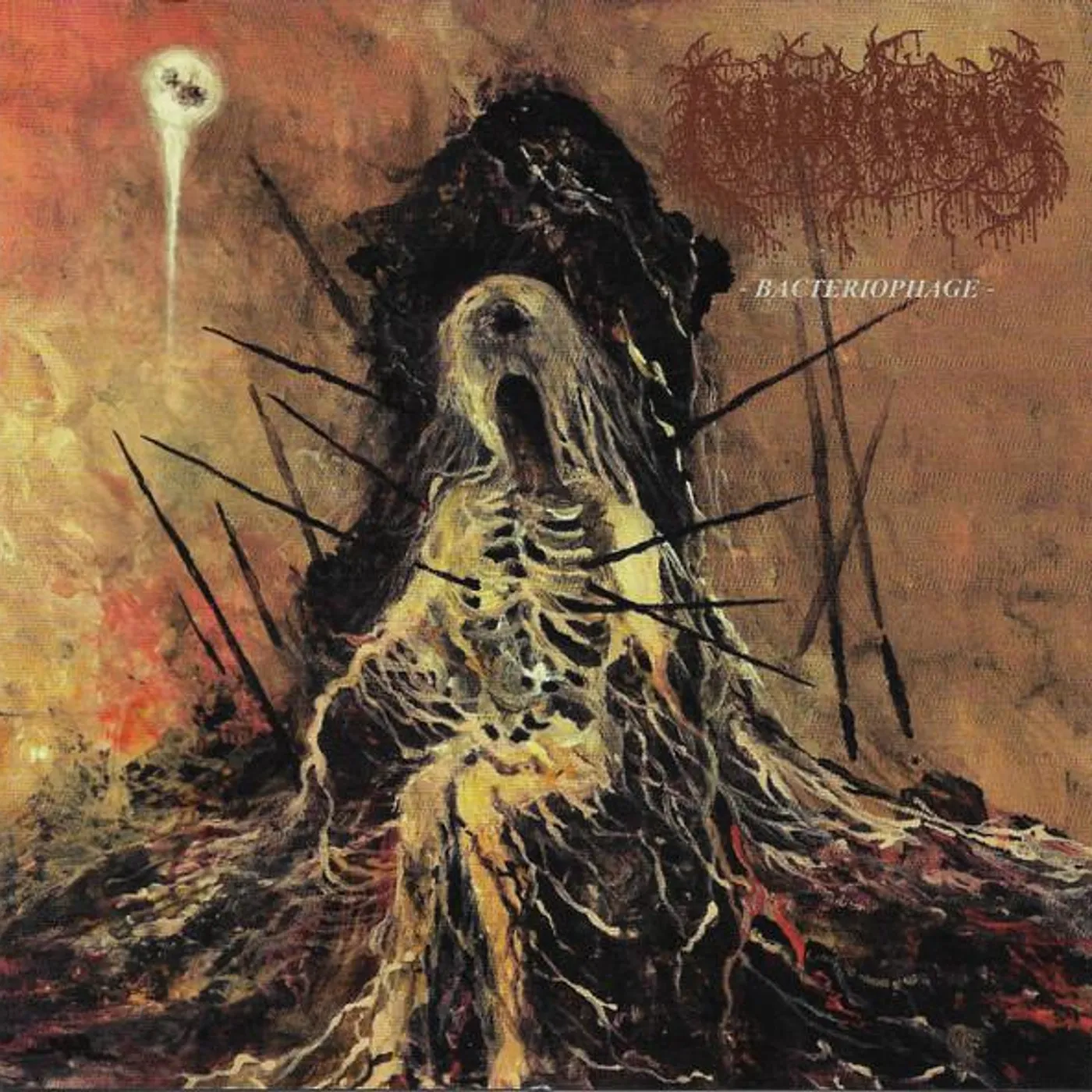 Autophagy BACTERIOPHAGE CD