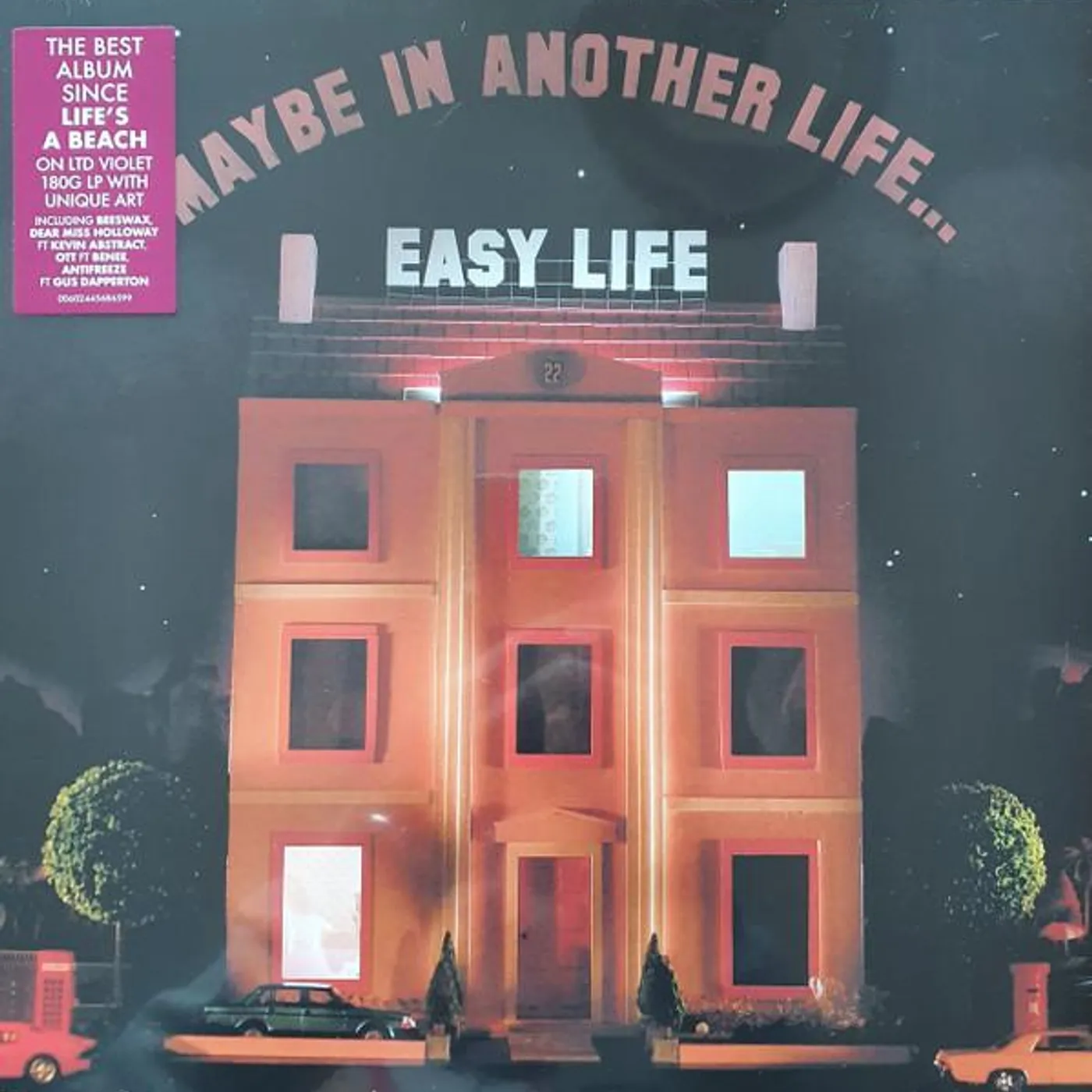 easy life MAYBE IN ANOTHER LIFE Vinyl Record