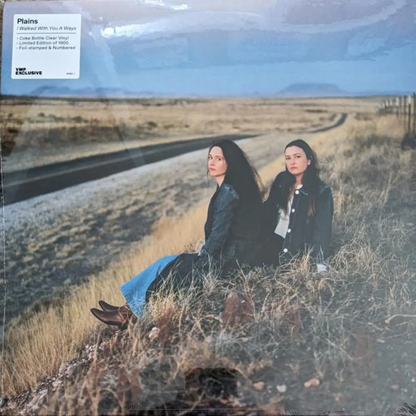 Plains I WALKED WITH YOU A WAYS Vinyl Record
