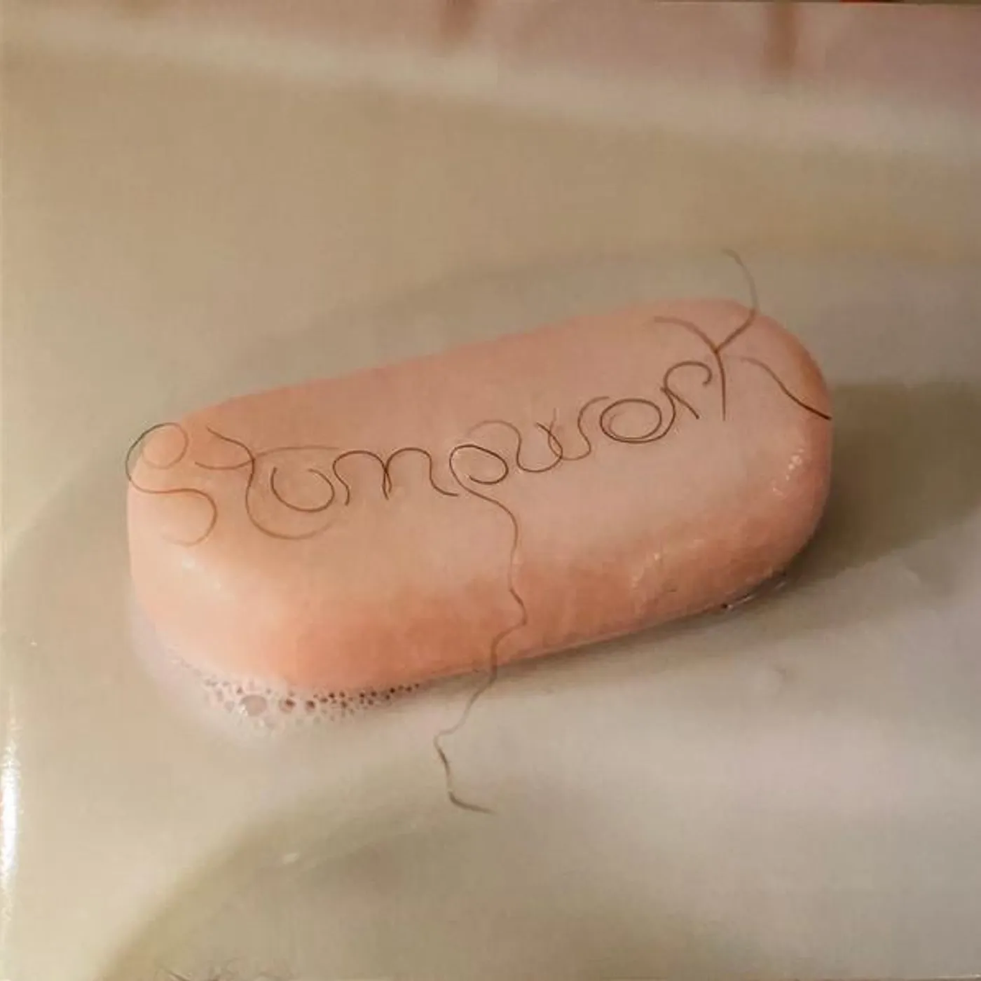 Dry Cleaning Stumpwork (White) Vinyl Record