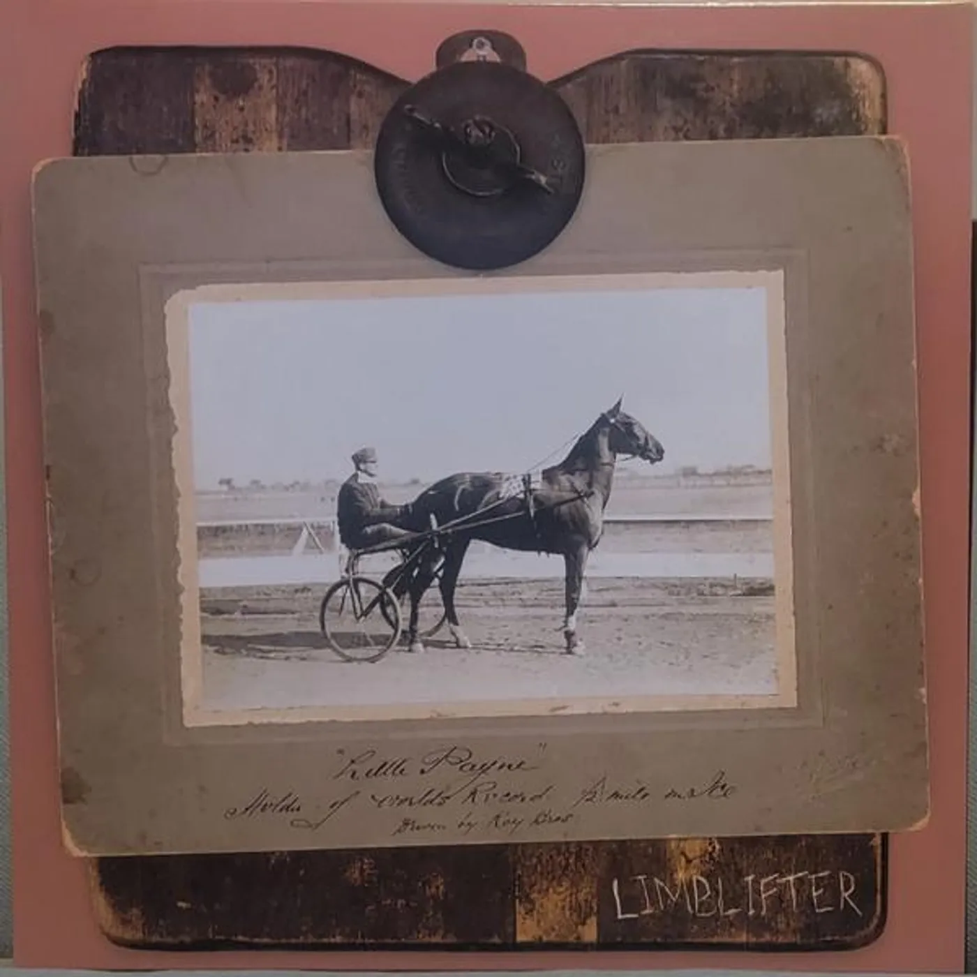 Limblifter Little Payne Vinyl Record