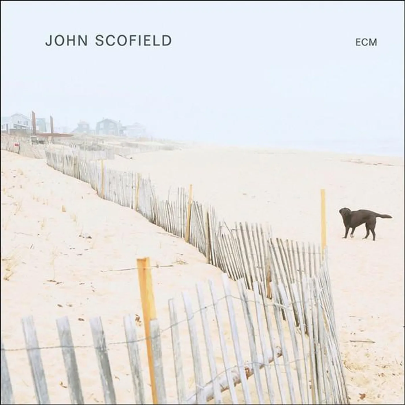 John Scofield Vinyl Record