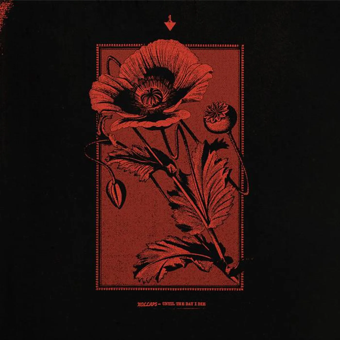 Kollaps UNTIL THE DAY I DIE Vinyl Record