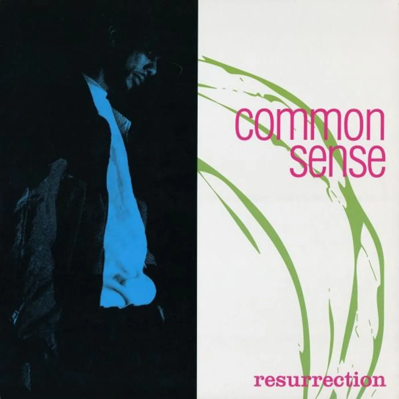 Common Resurrection Vinyl Record