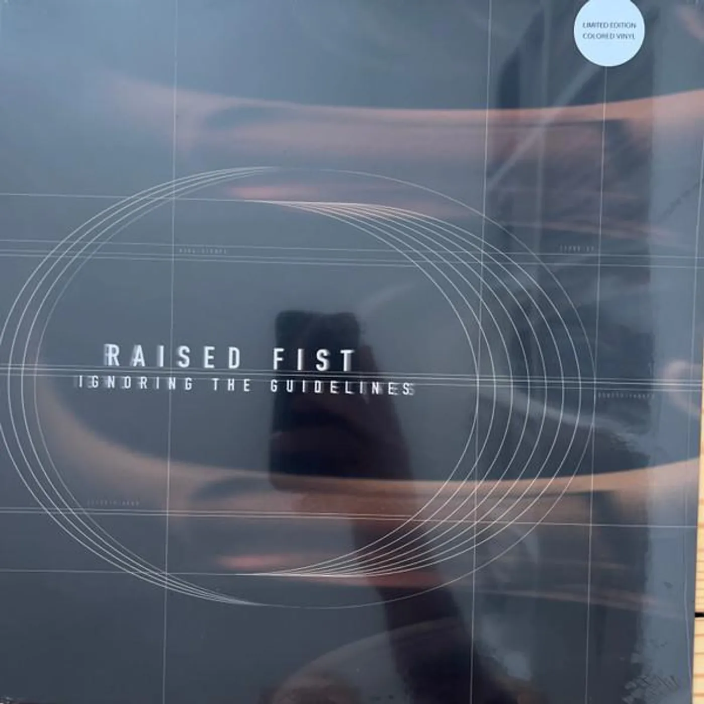 Raised Fist IGNORING THE GUIDELINES (REISSUE) (CLEAR VINYL) Vinyl Record