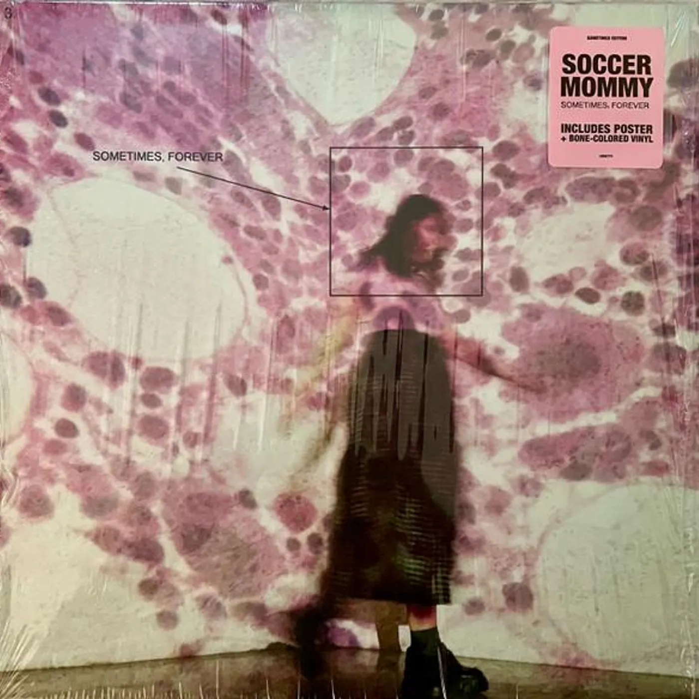 Soccer Mommy SOMETIMES, FOREVER (BONE VINYL) Vinyl Record