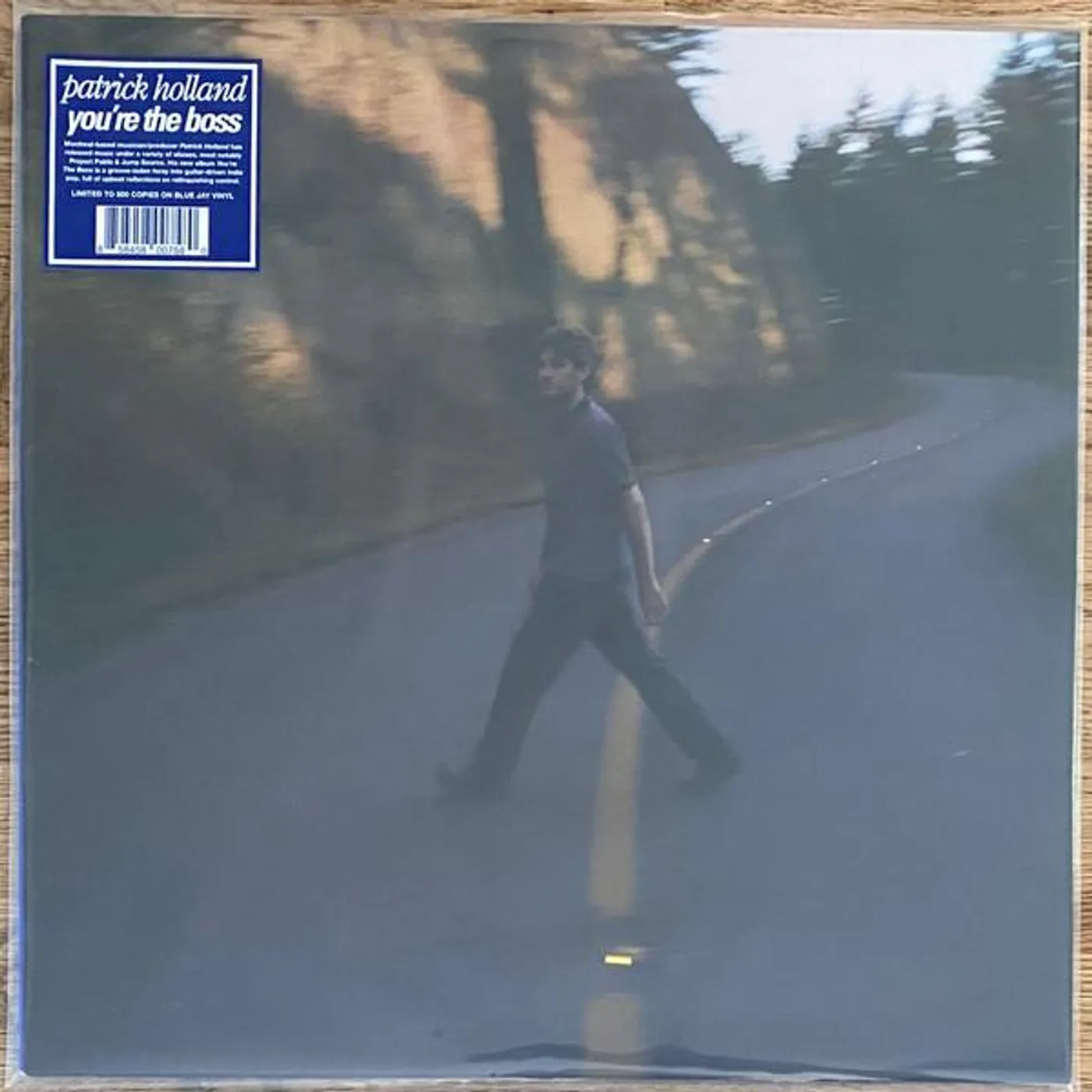 Patrick Holland YOU'RE THE BOSS Vinyl Record