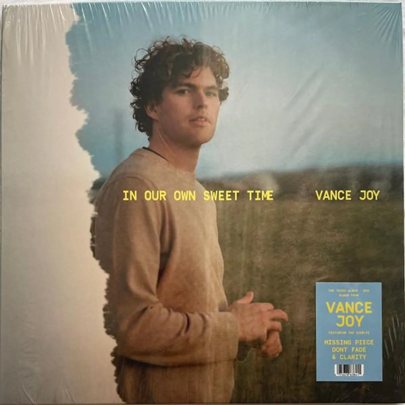 Vance Joy In Our Own Sweet Time Vinyl Record