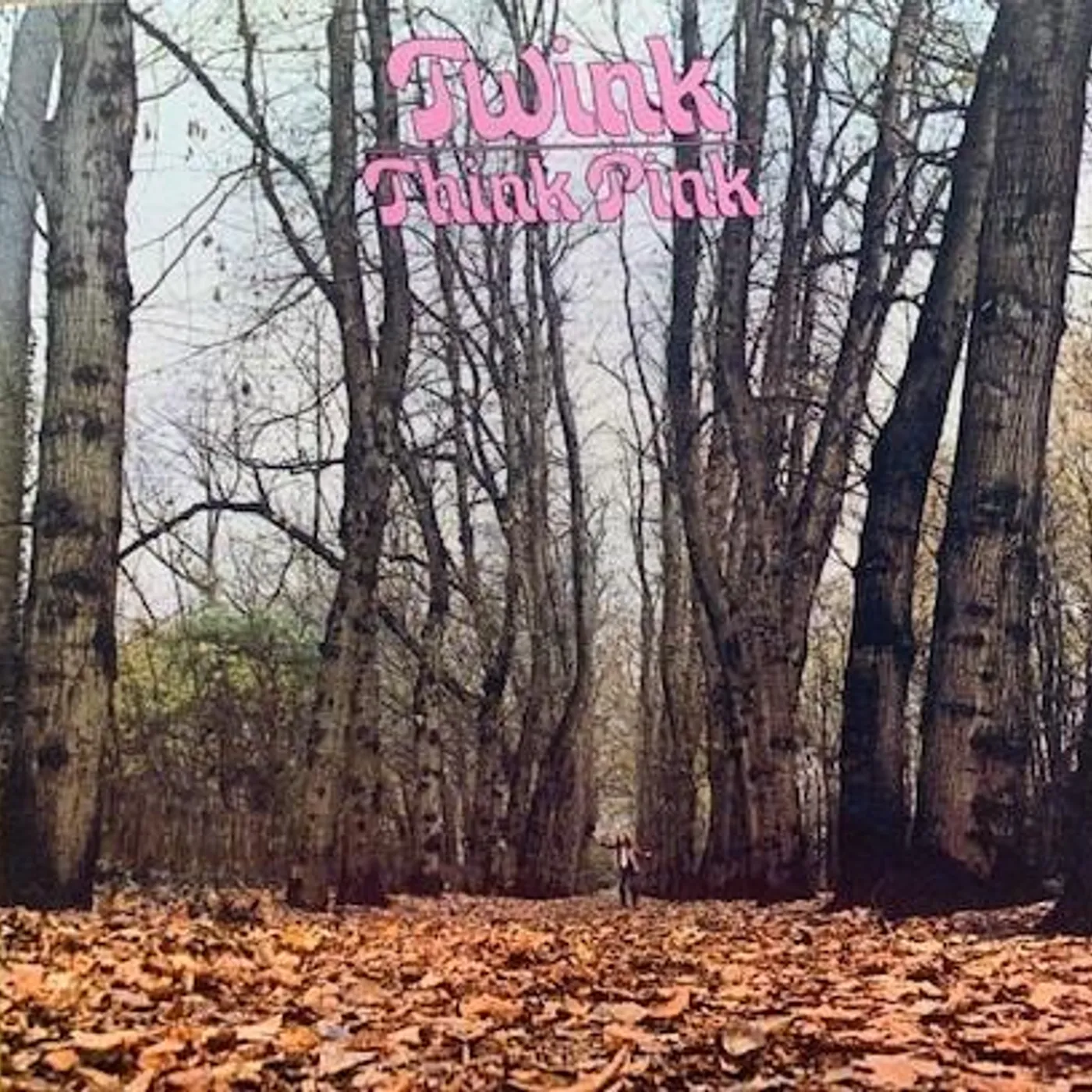 Twink THINK PINK (2CD) CD