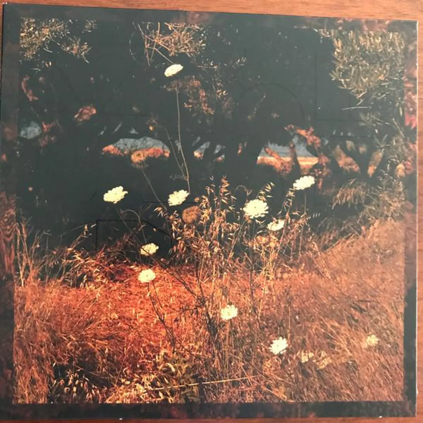 Szun Waves EARTH PATTERNS CD