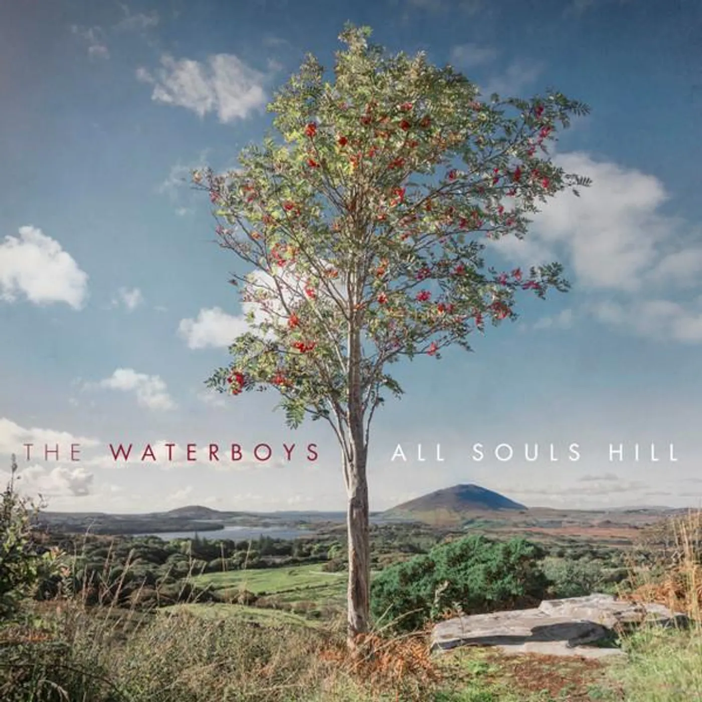 The Waterboys ALL SOULS HILL (RED VINYL) (I) Vinyl Record