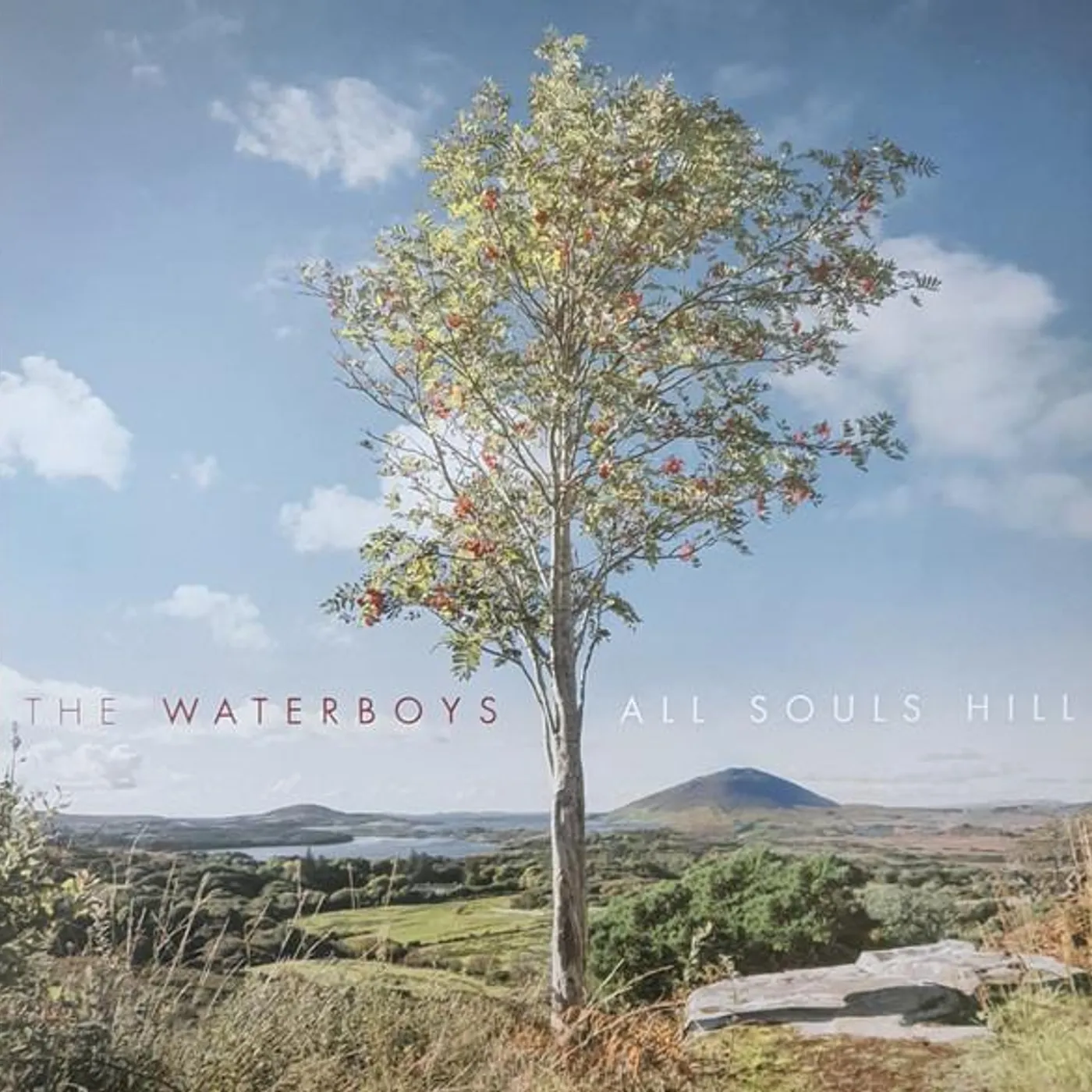 The Waterboys All Souls Hill Vinyl Record