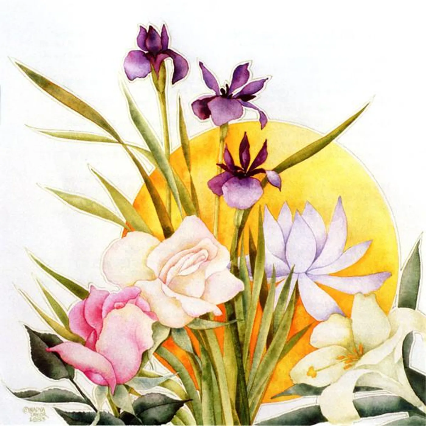 Robbie Basho BOUQUET CD