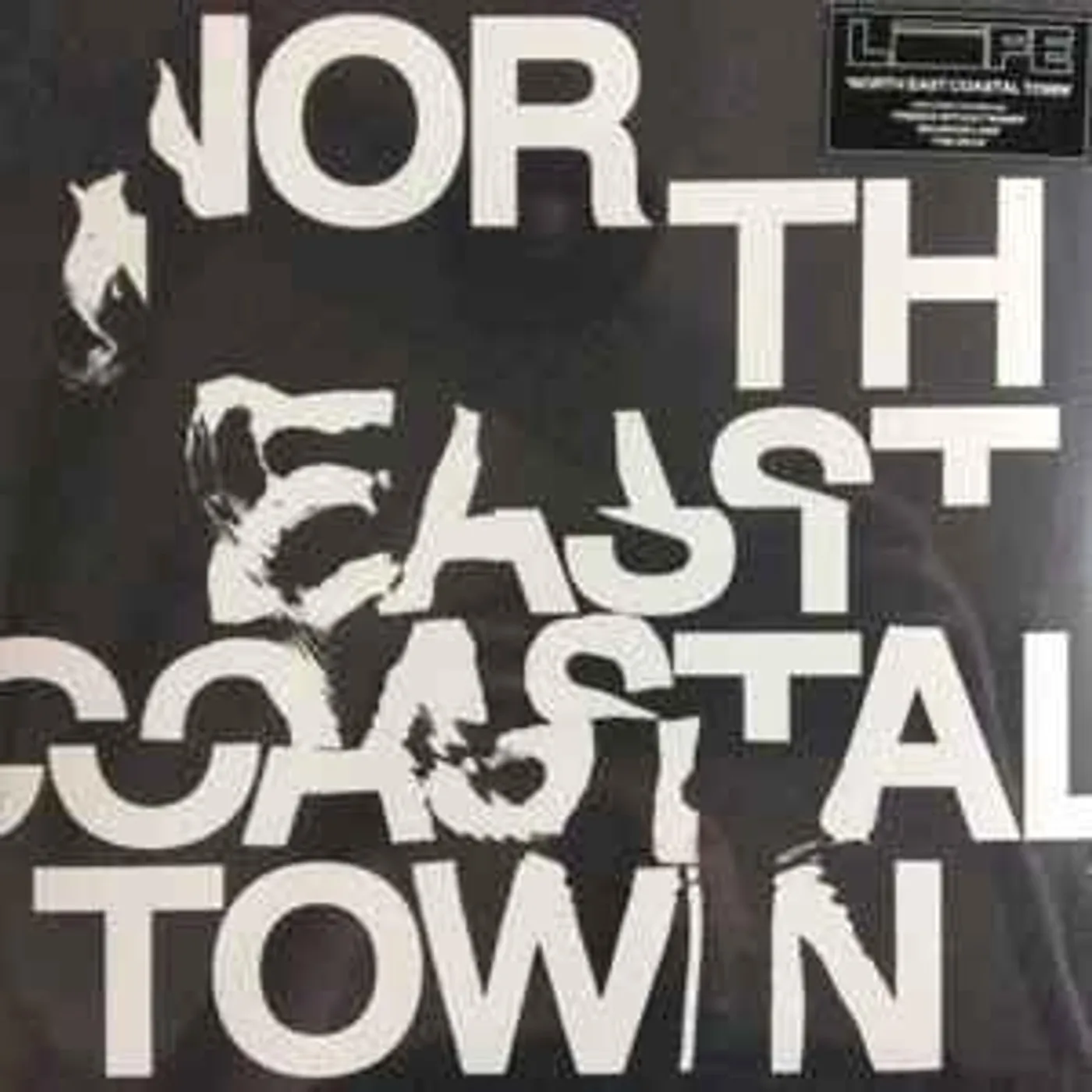 Life NORTH EAST COASTAL TOWN (GREEN VINYL) Vinyl Record