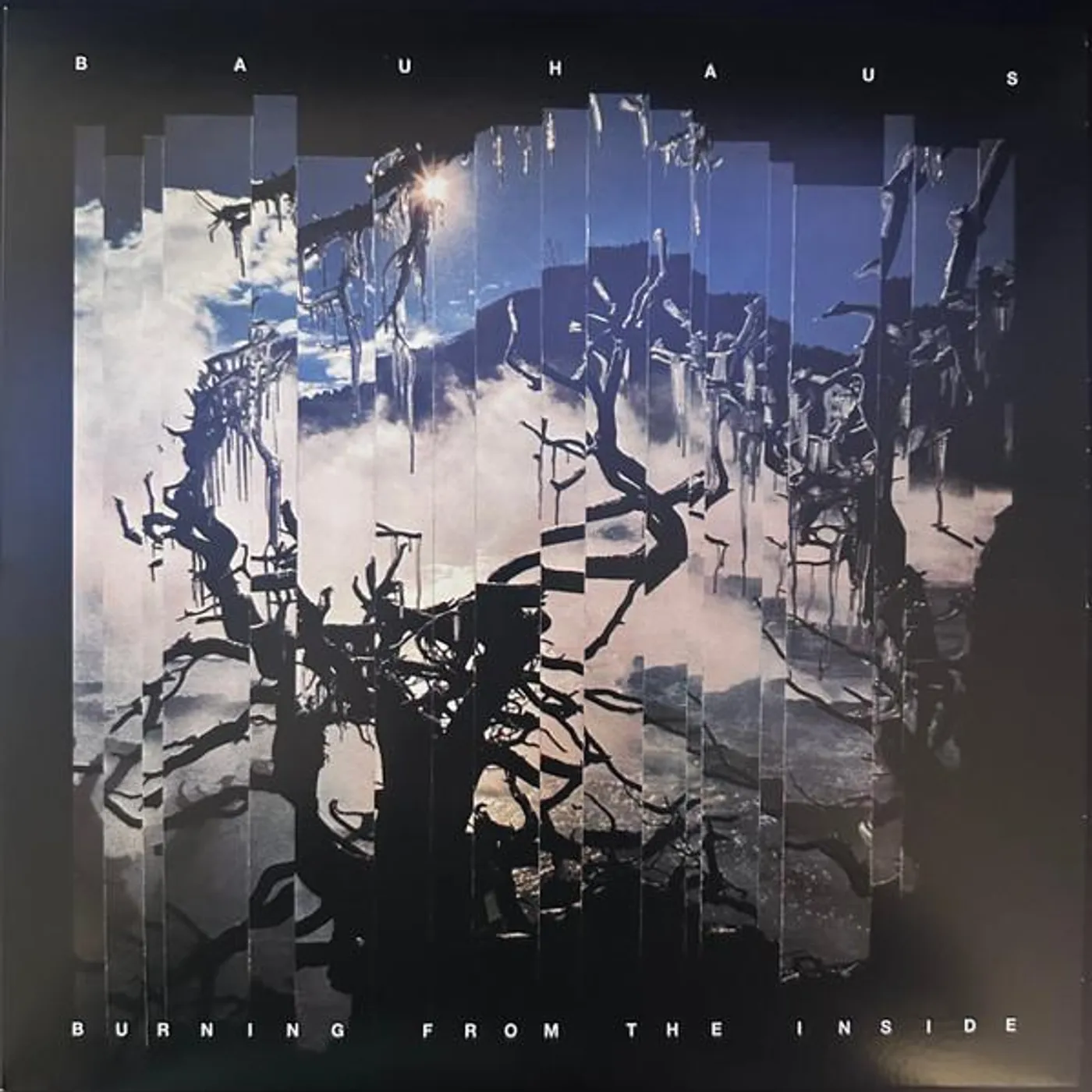 Bauhaus Burning from the Inside Vinyl Record