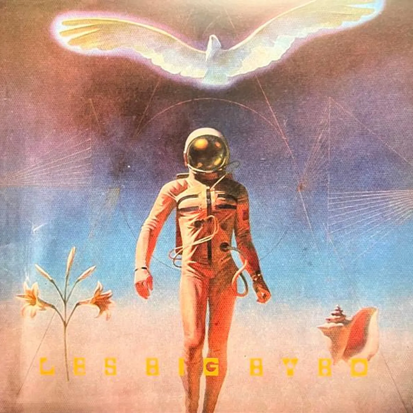 Les Big Byrd Eternal Light Brigade Vinyl Record