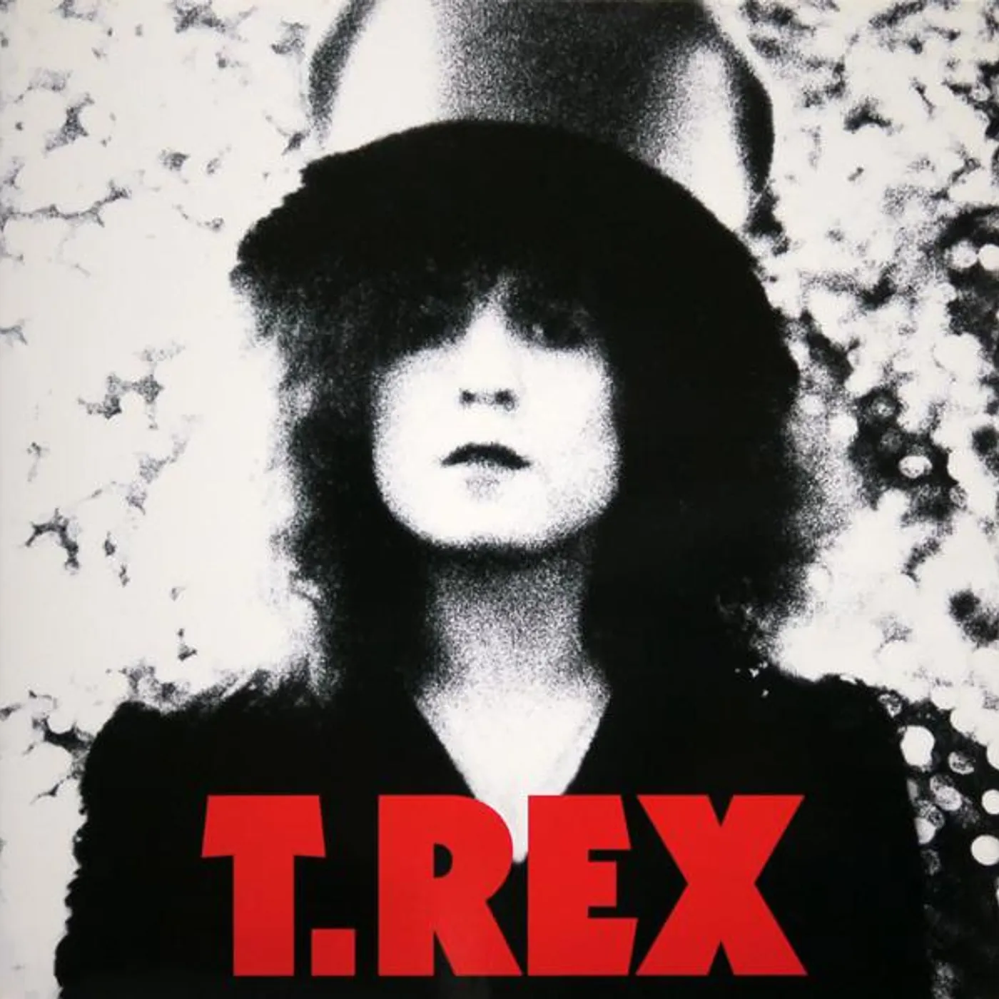 T. Rex SLIDER Vinyl Record