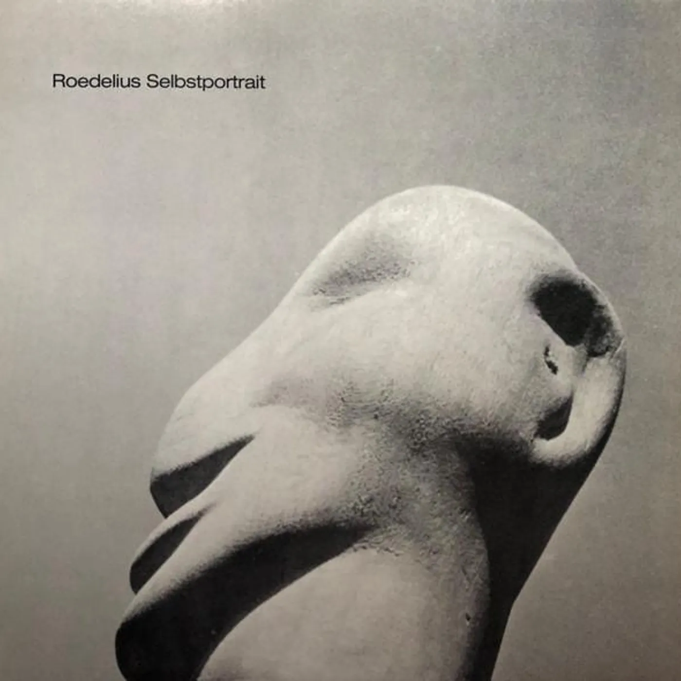 Roedelius SELBSTPORTRAIT Vinyl Record