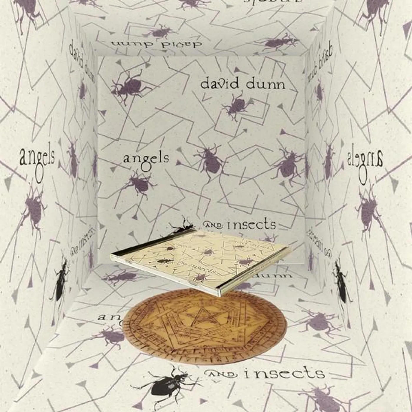 David Dunn ANGELS & INSECTS CD