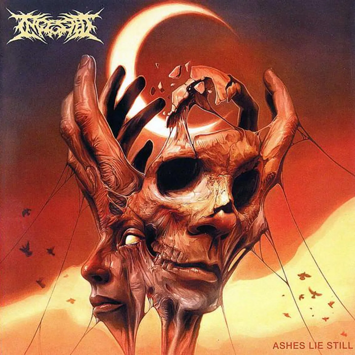 Ingested ASHES LIE STILL CD