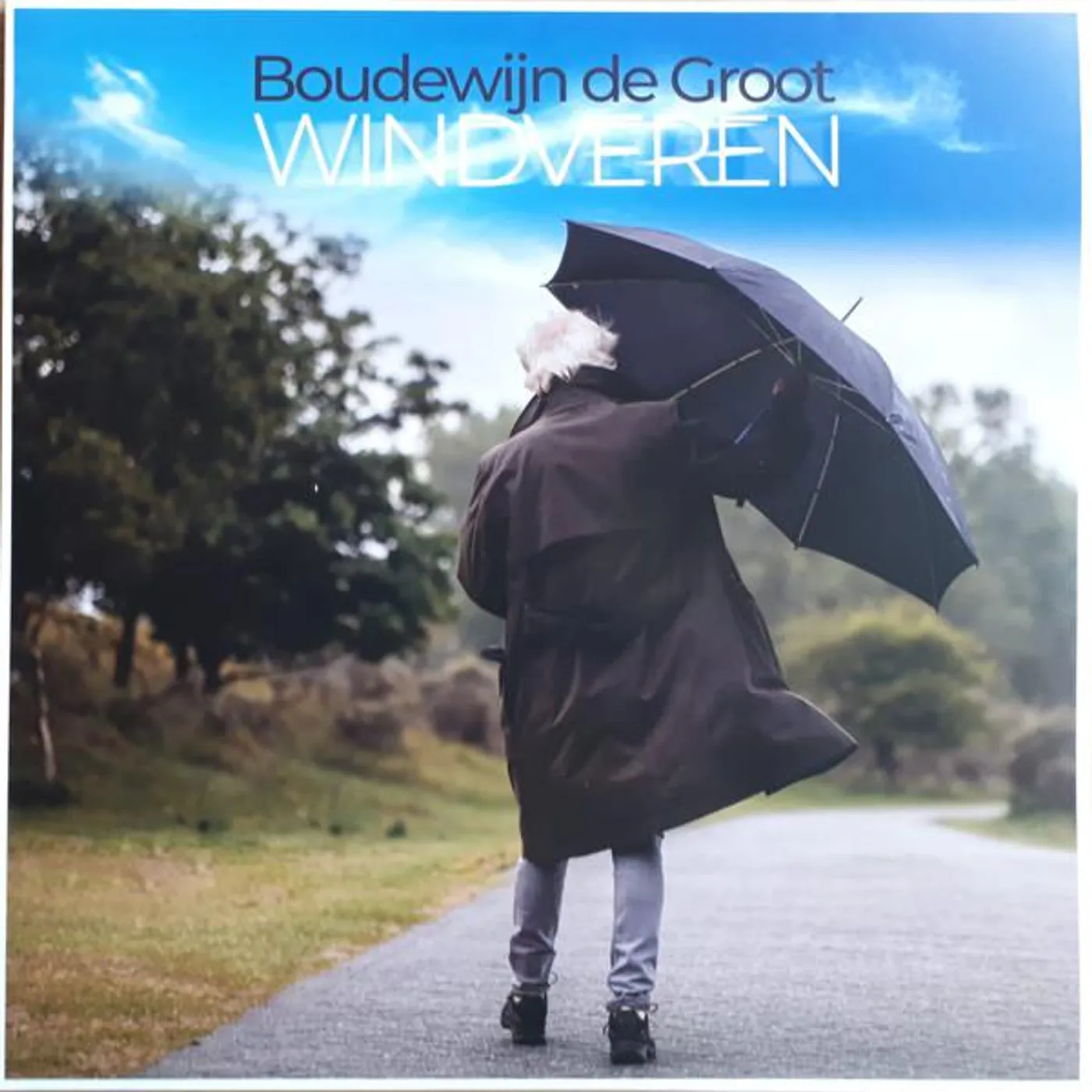 Boudewijn de Groot Windveren Vinyl Record
