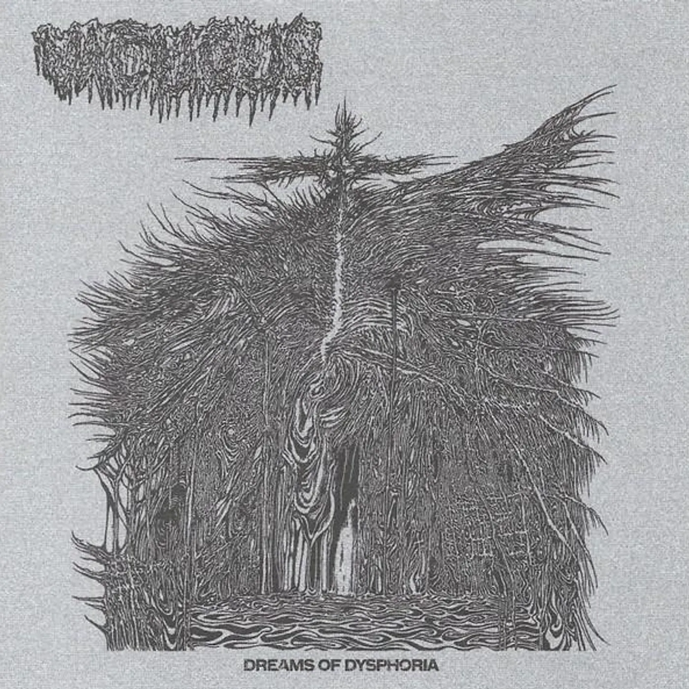 Vacuous DREAMS OF DYSPHORIA CD