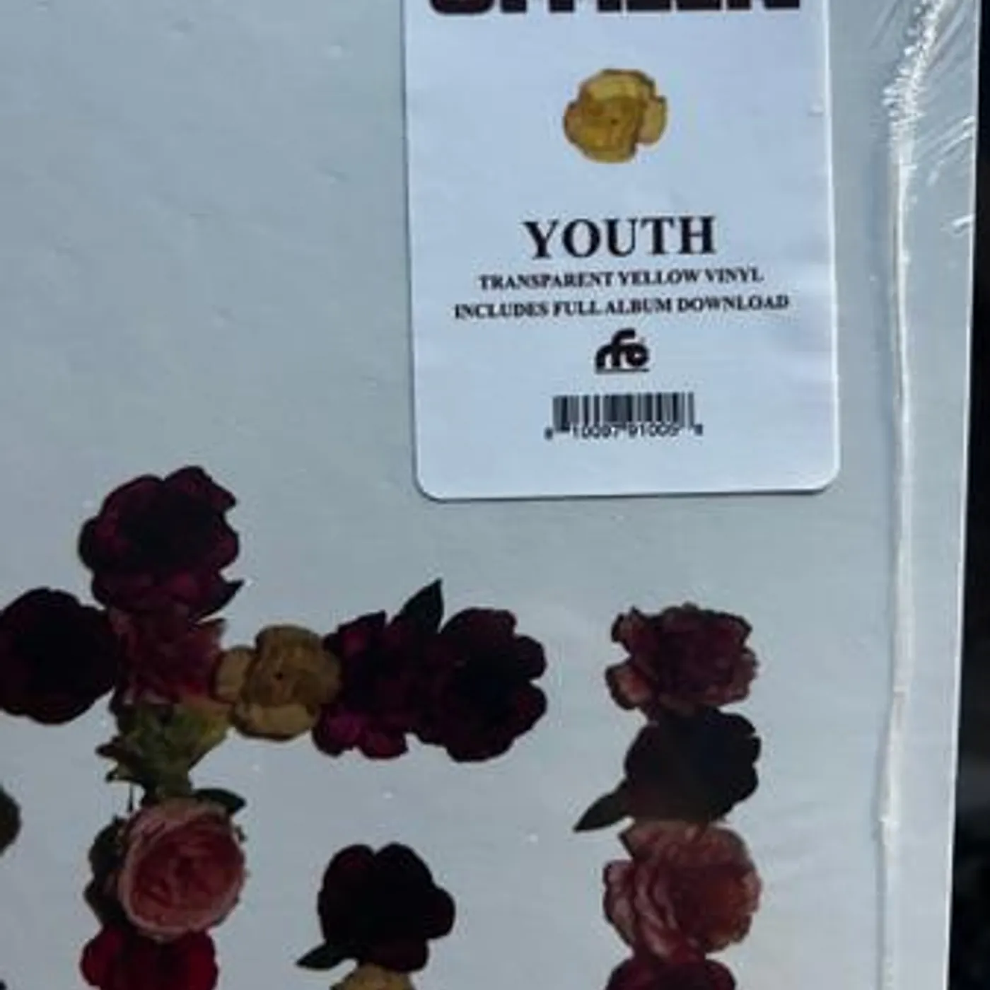 Citizen Youth Vinyl Record