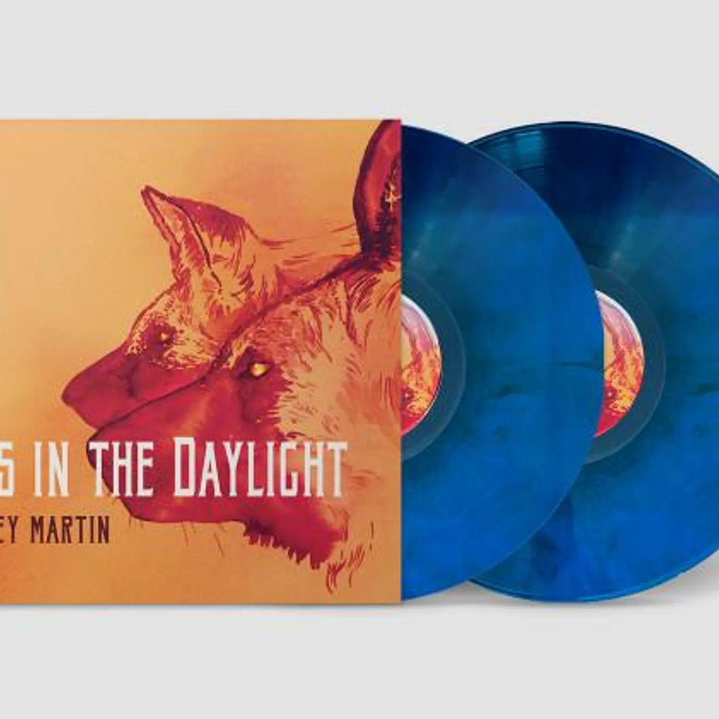 Jeffrey Martin Dogs in the Daylight Vinyl Record