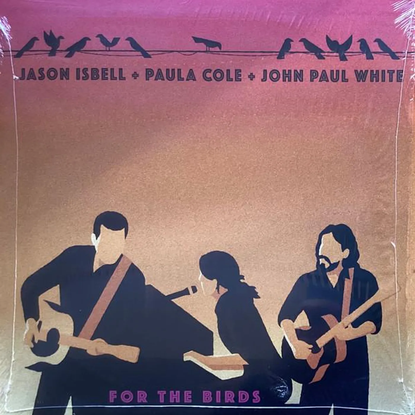 Paula Cole For the Birds Vinyl Record