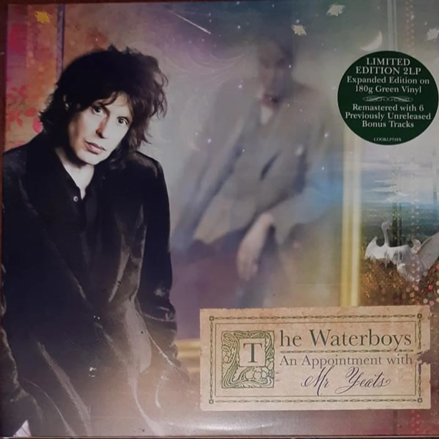 The Waterboys AN APPOINTMENT WITH MR YEATS (2LP) Vinyl Record