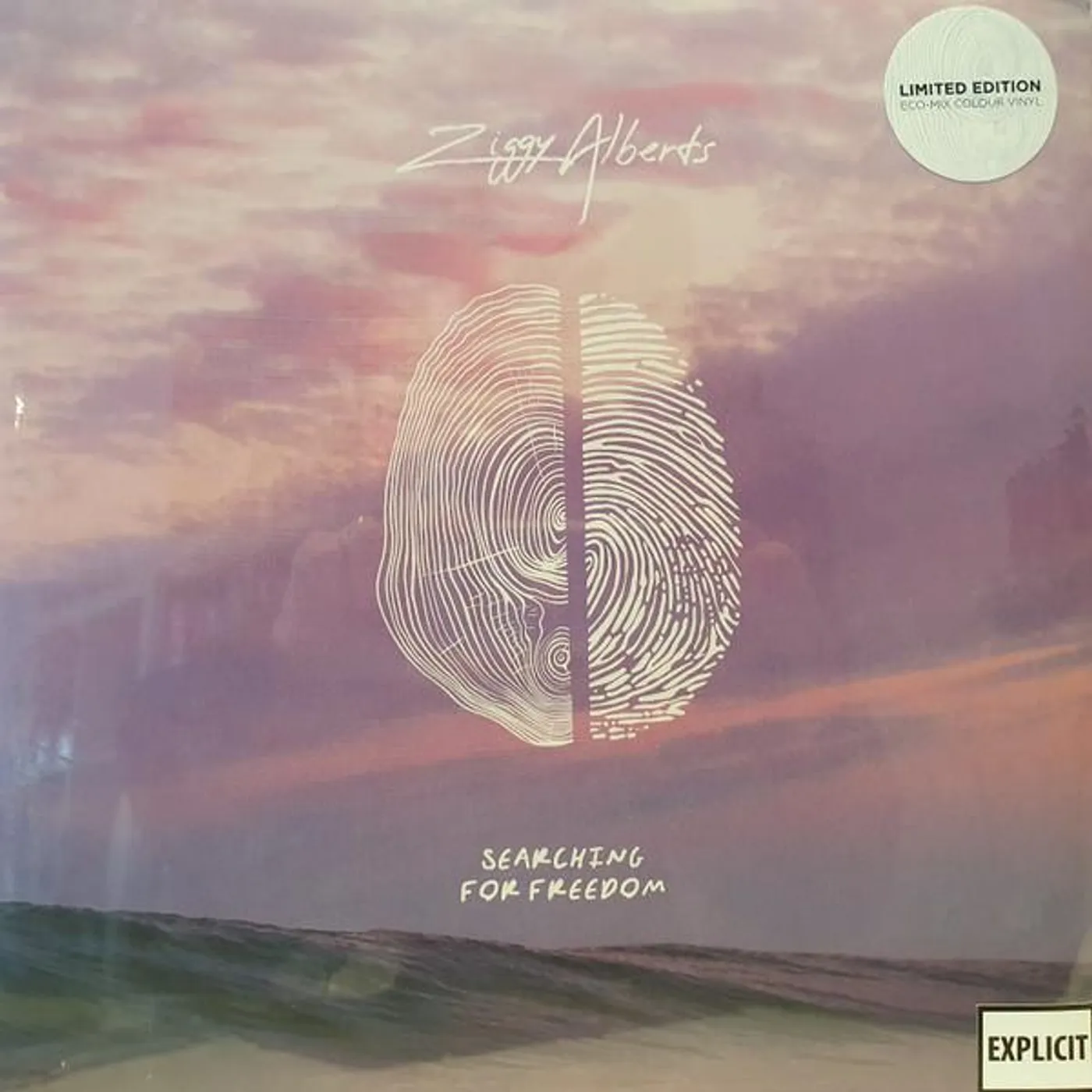 Ziggy Alberts SEARCHING FOR FREEDOM Vinyl Record