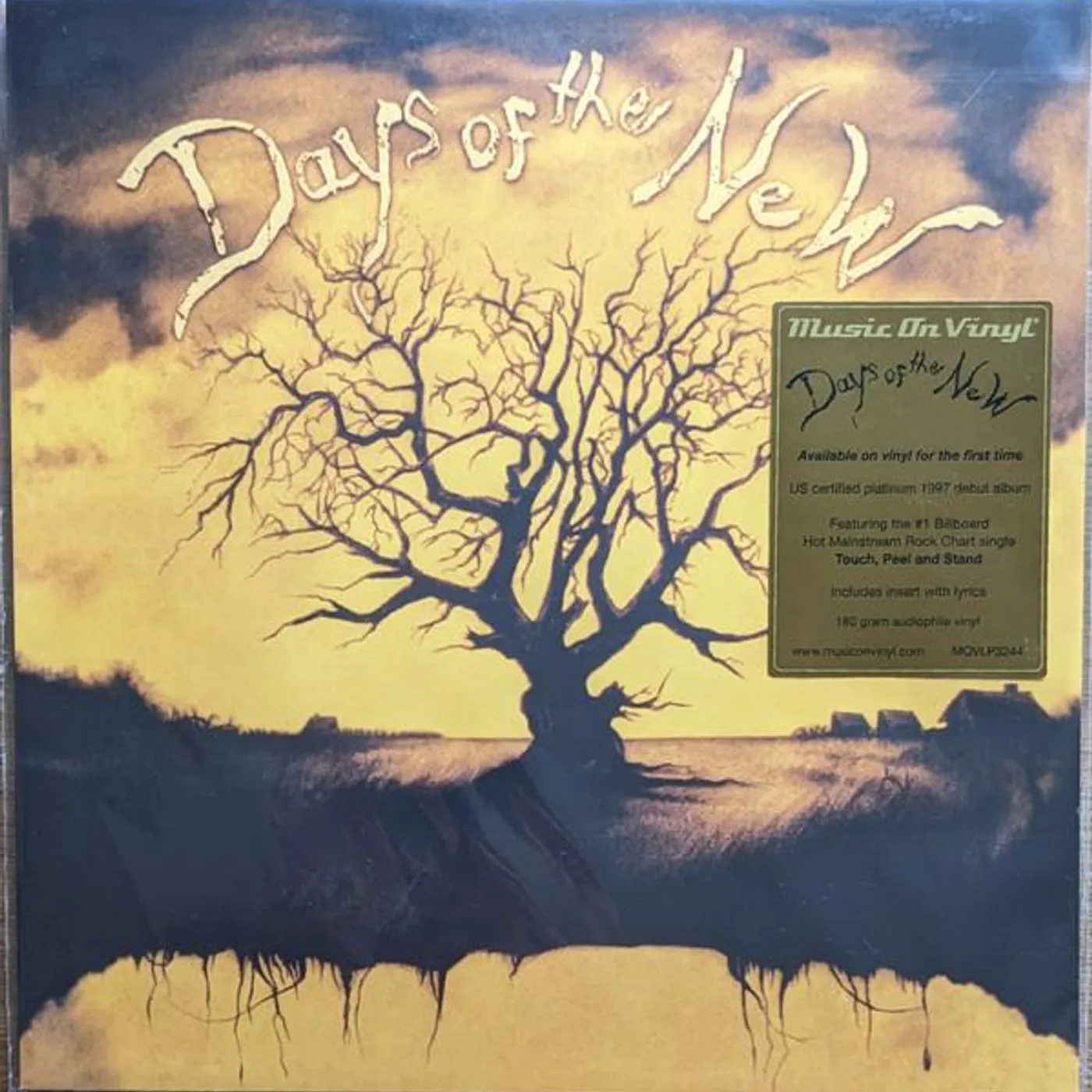 DAYS OF THE NEW (180G/2LP) Vinyl Record