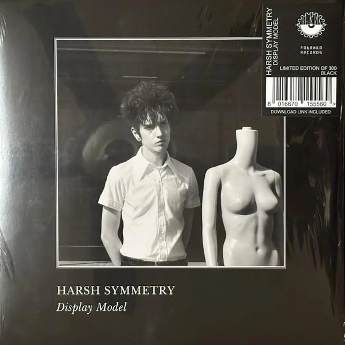 Harsh Symmetry Display Model Vinyl Record