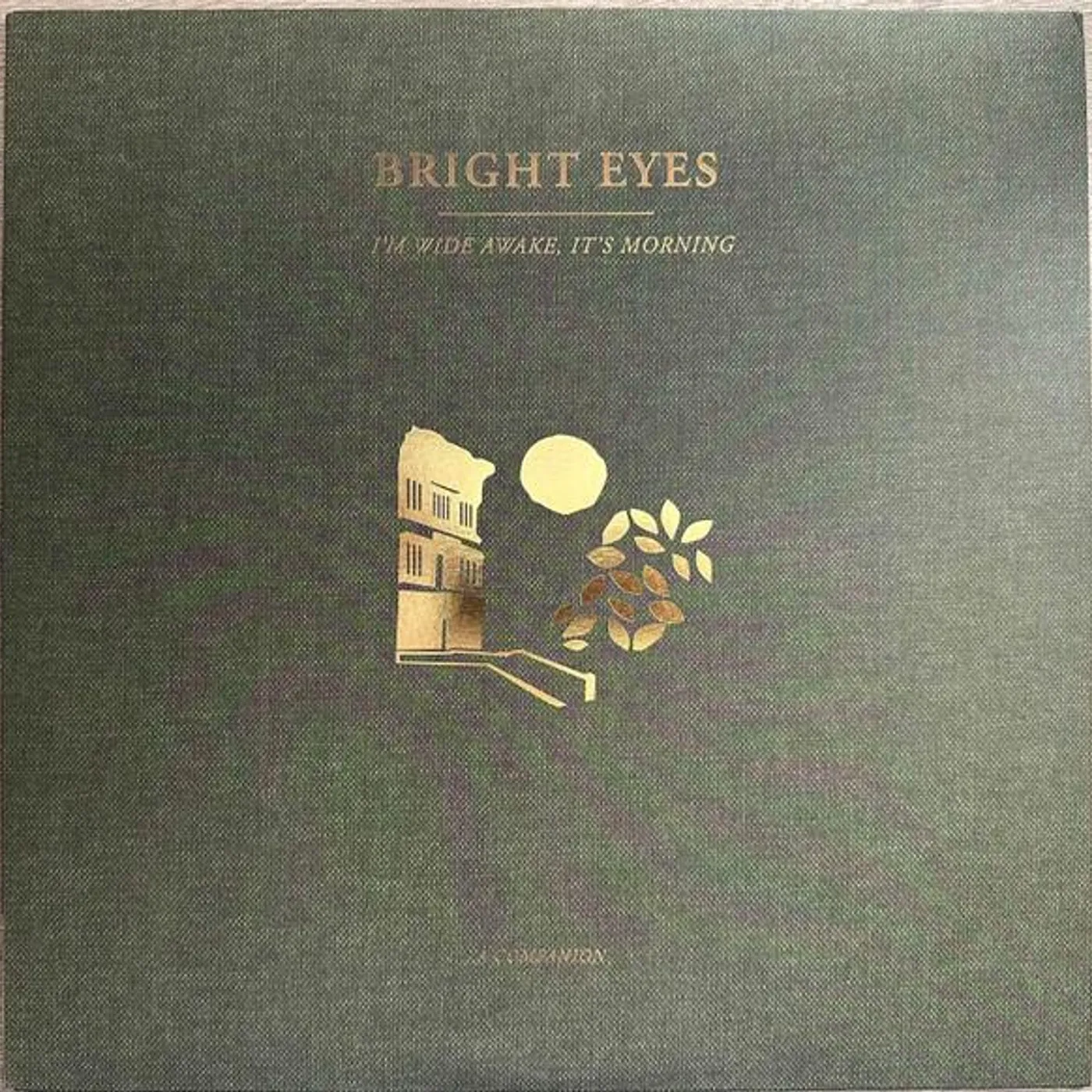 Bright Eyes I'M WIDE AWAKE, IT'S MORNING: A COMPANION Vinyl Record