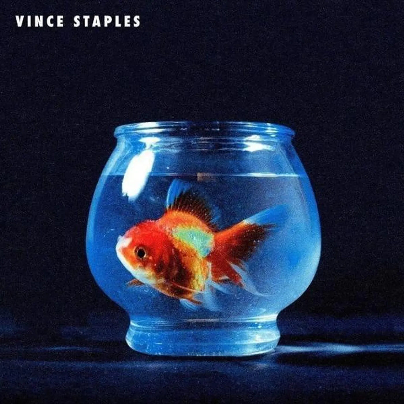 Vince Staples BIG FISH THEORY (PICTURE DISC) Vinyl Record