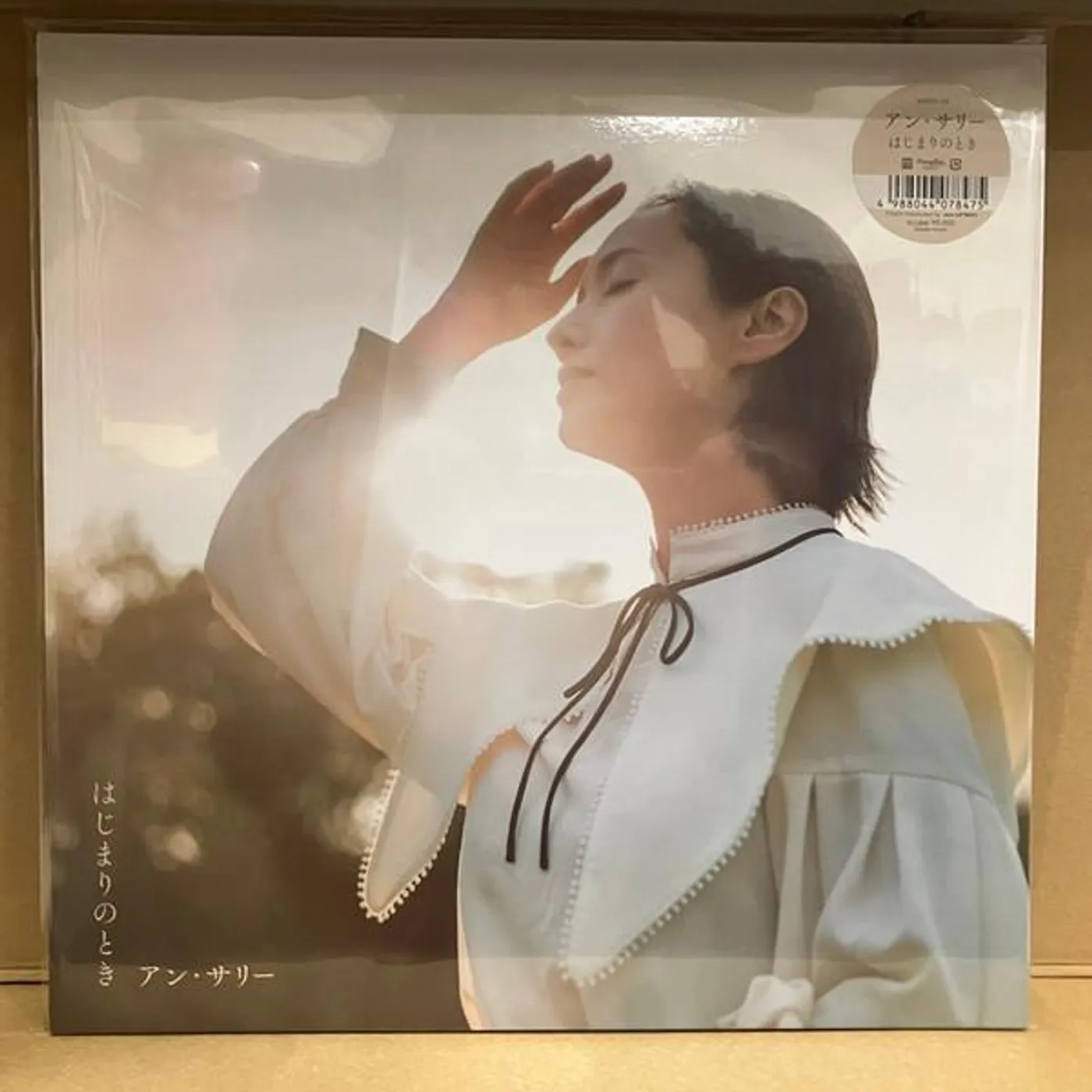 Ann Sally WHEN IT STARTS Vinyl Record