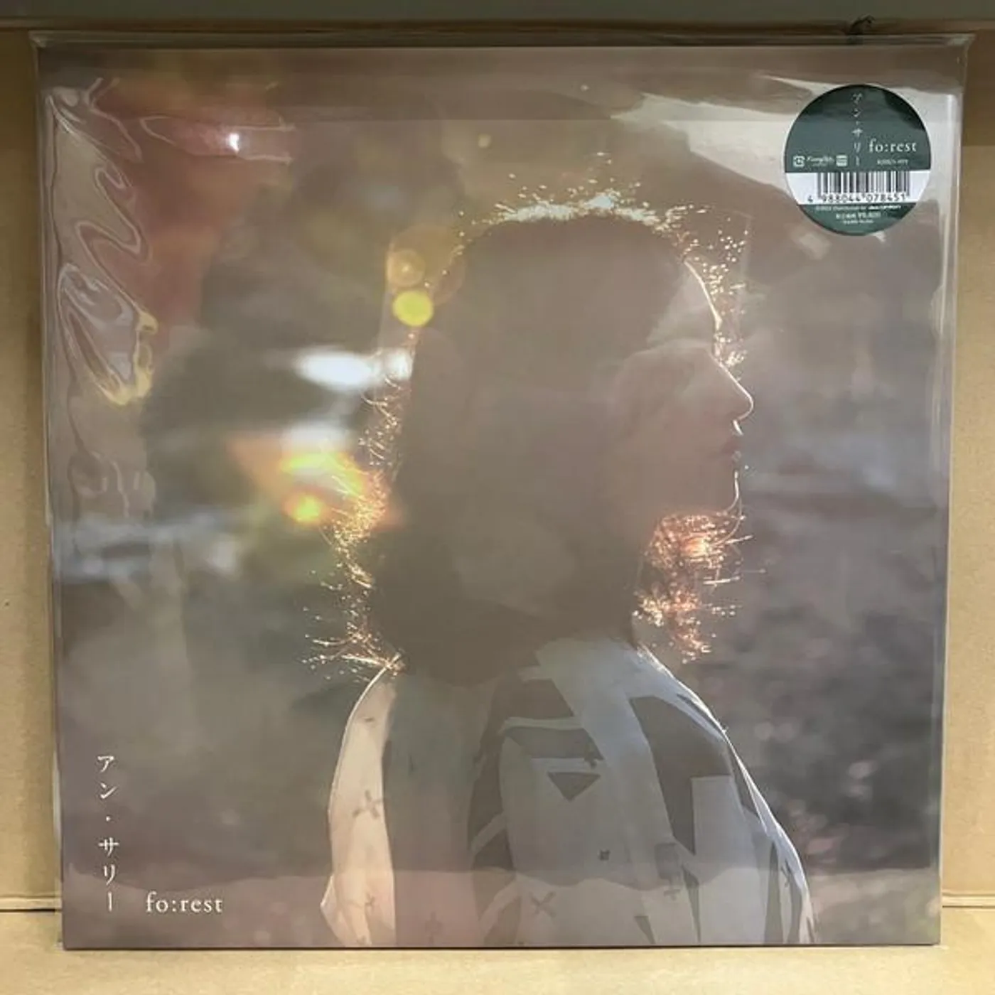 Ann Sally FO:REST Vinyl Record