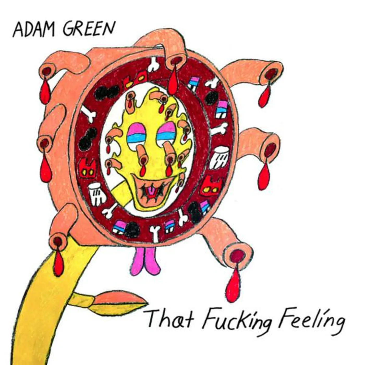 Adam Green That Fucking Feeling Vinyl Record